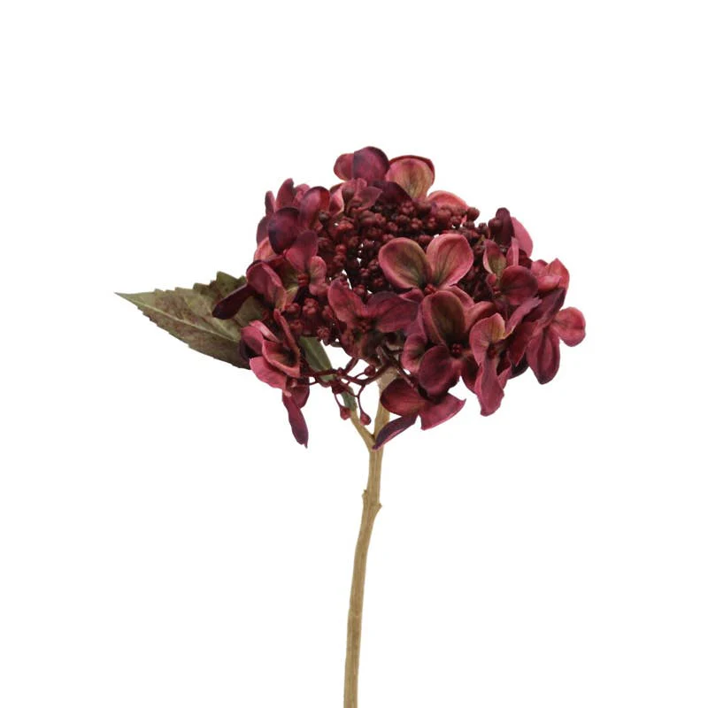New